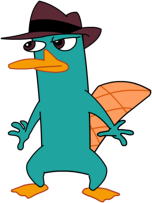 perayadise's tweet photo. perry the platypus https://t.co/znIXtdIqXg
