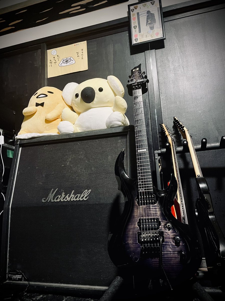 KeijiK_hayabiki's tweet image. ギタリストっぽくなってきました🎸🎶
#XJAPAN #ESP #Marshall  #ぐでたま  #ちいかわ  #コアラ