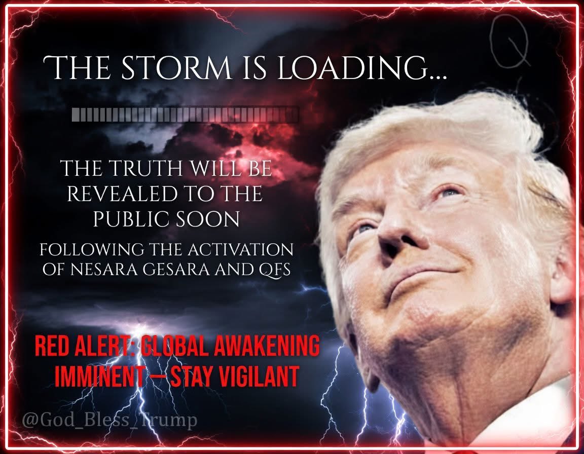 Julian Assange tweet media