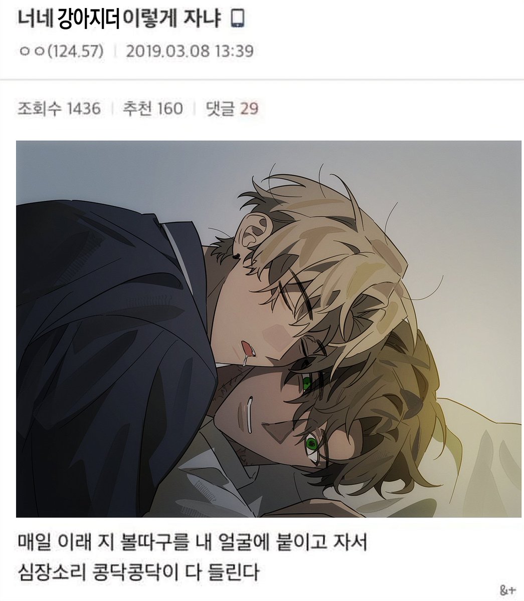 보따리 tweet media