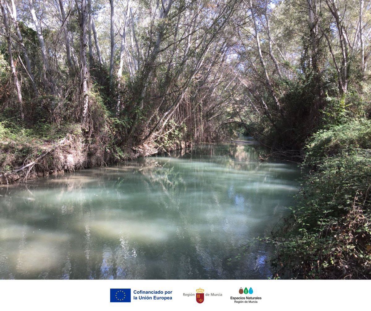 Red Natura Noroeste tweet media