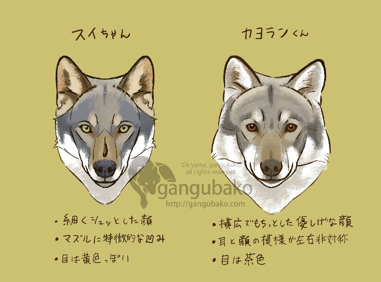 樹山◇玩具箱 tweet media