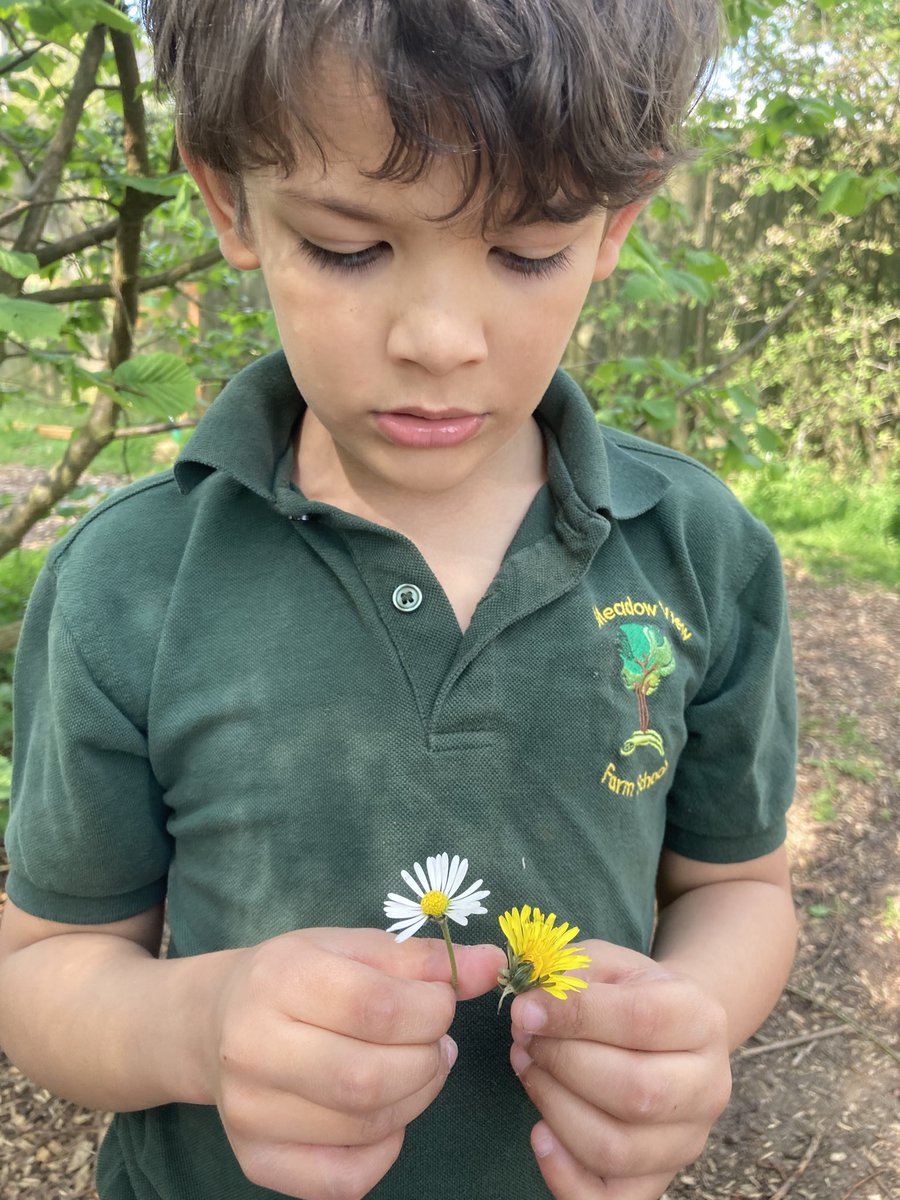 mvfsweb's tweet image. This week Class 2 have been finding out who calls our garden their habitat. We searched for clues of who might live here and came up with some super suggestions of plants, birds and mammals! #NaturalWorld