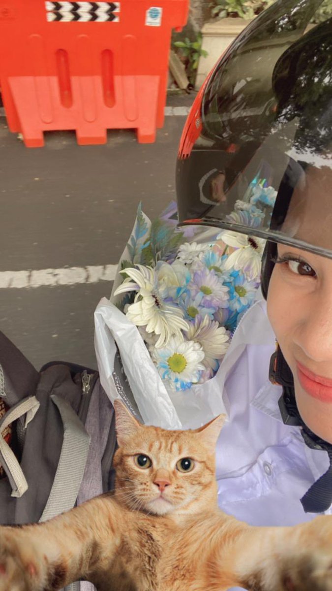 ijuu🧚🏻‍♀️ tweet media