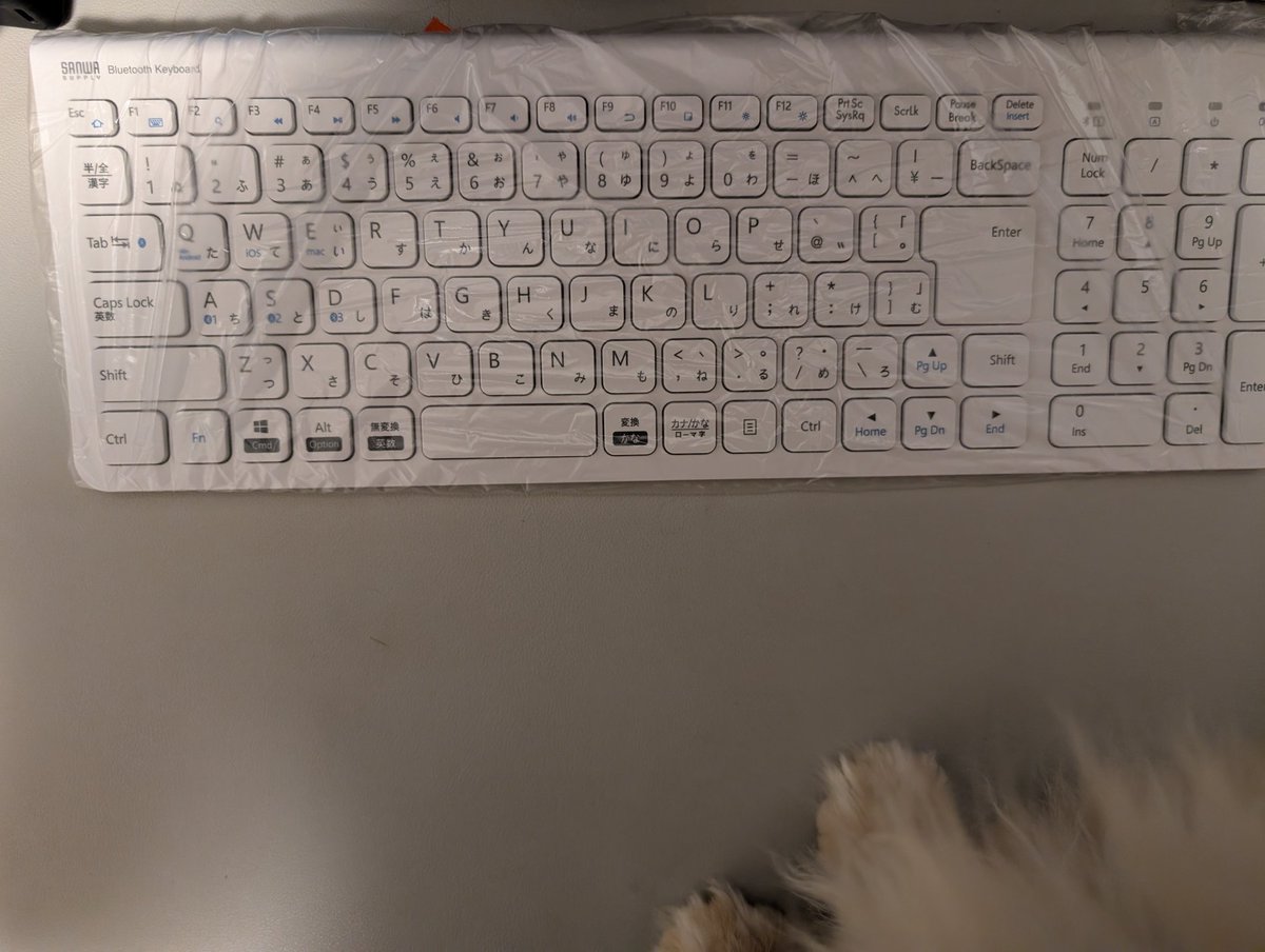 onasukwi's tweet photo. 猫たちのゲロガード

キー��ードの上だろうがなんだろうが関係なくやりやがるからな。

特になすの方が。

#猫のなす https://t.co/t5SihNkMcs