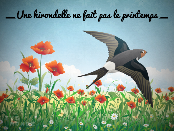 🇫🇷[#フランス語表現 - 動物] 

Une hirondelle ne fait pas le printemps 🧐

直訳：ツバメが１羽戻って来たからといって春になったとは言えない
意味：１つの事実からは全体の結論は出せない