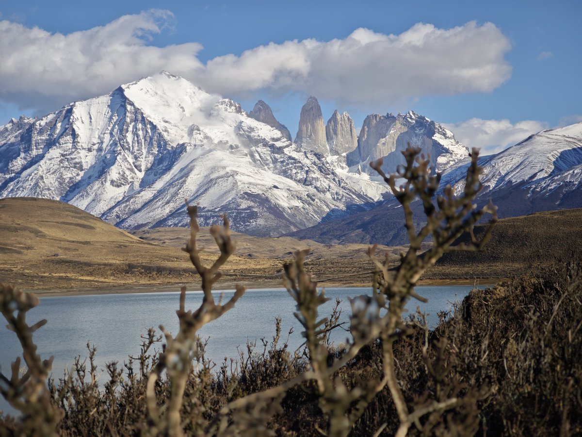 ポンズ tweet media