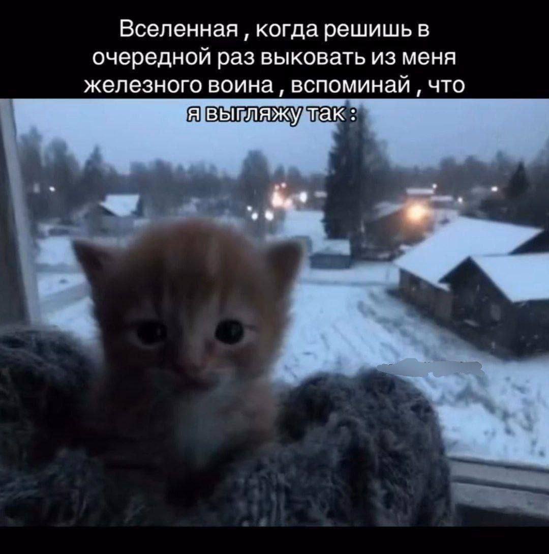 Дарьюшка tweet media
