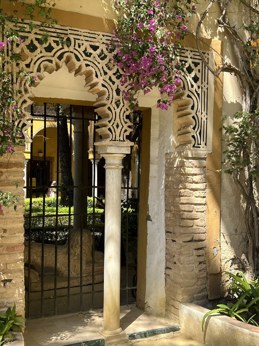 Ignacio Arakistain tweet media