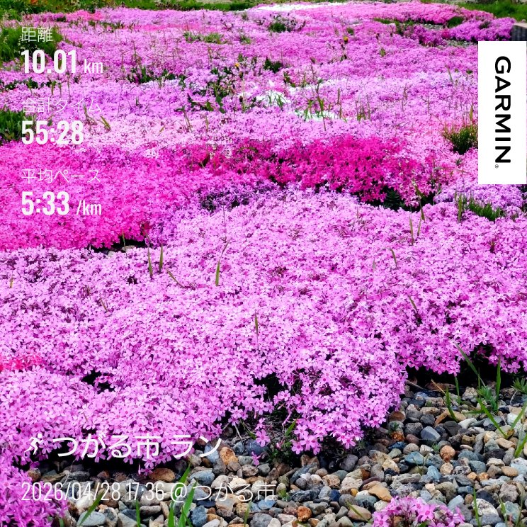 ひっでぃ@5/3笑福駅伝2.5km tweet media