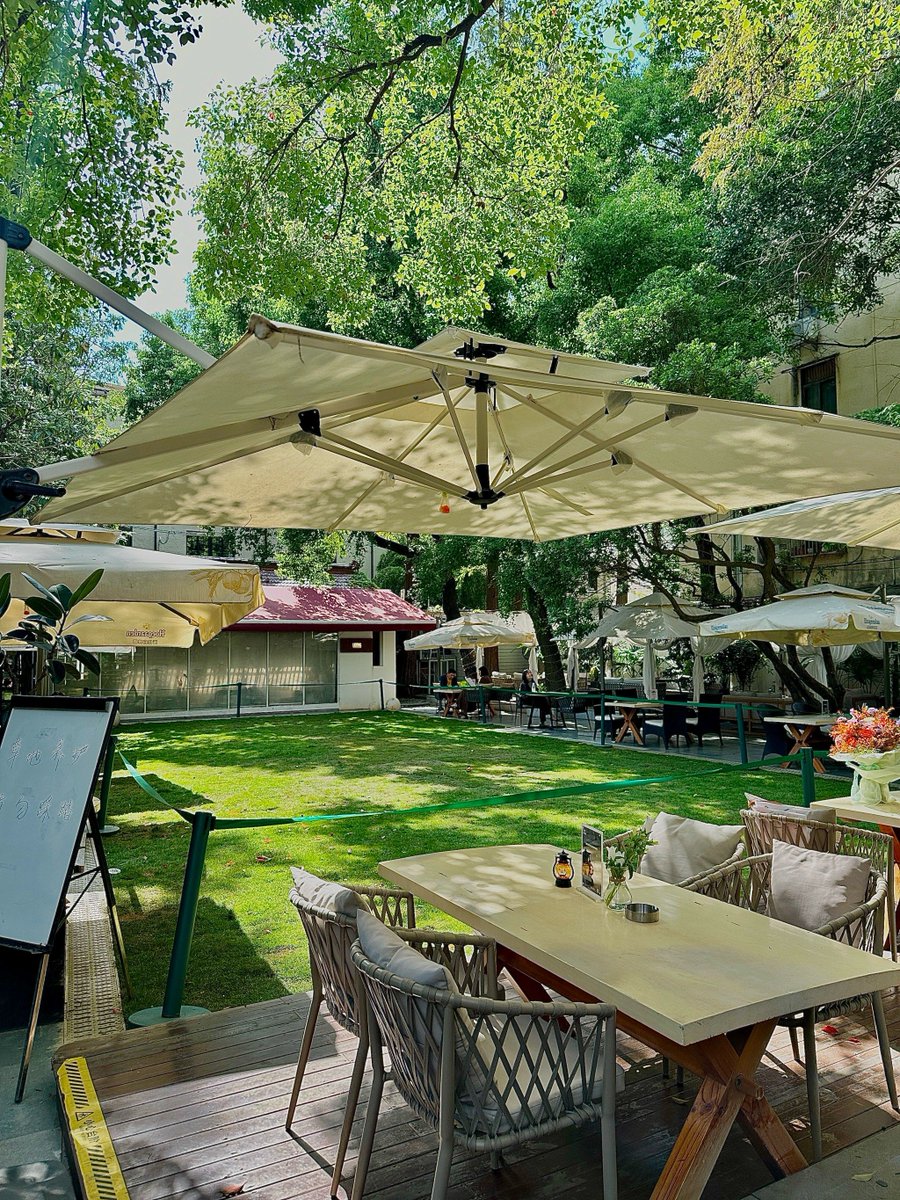 Kelly Messmer tweet media