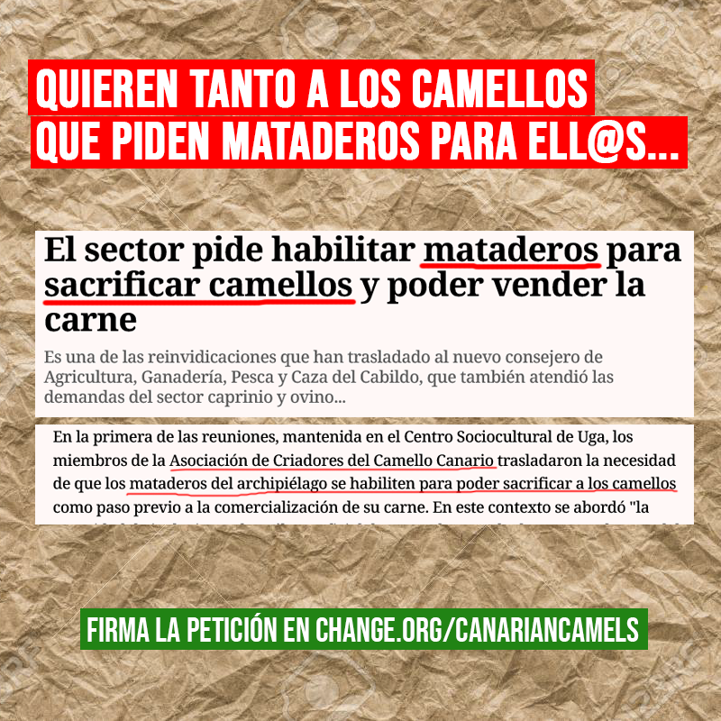 Rubén Pérez tweet media