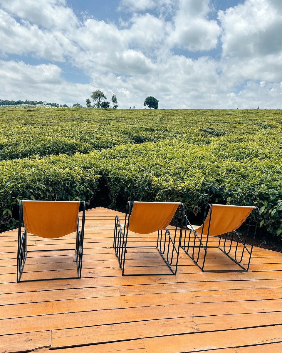 onedancesafaris's tweet image. Welcome to Siri Nairobi, nestled in the heart of lush green tea farms of Tigoni, Limuru. It offers a serene, calm, luxurious escape ideal for nature lovers, couples and groups seeking a private getaway close to Nairobi.

#sirinairobi #luxuryescape #Glamping #luxurytravel