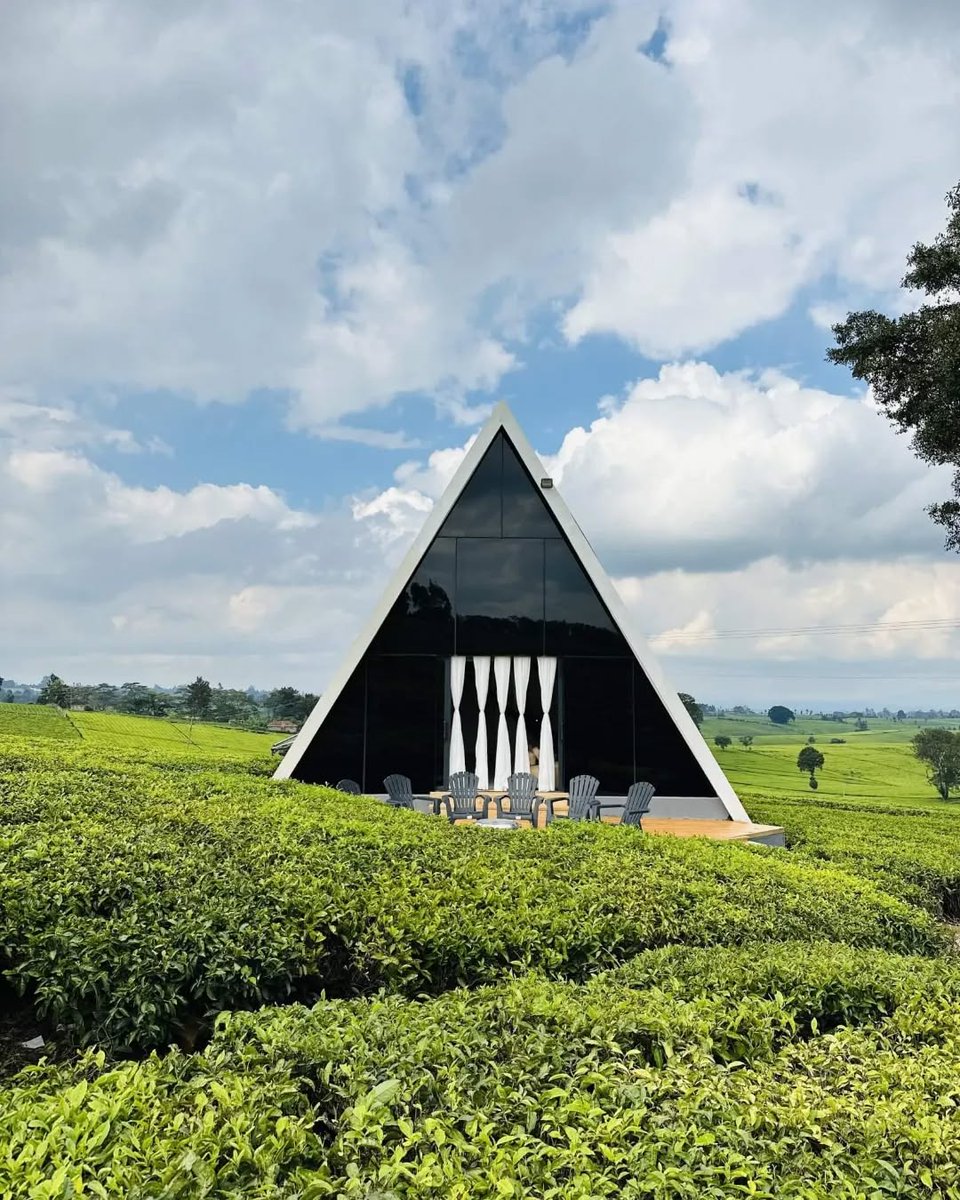 onedancesafaris's tweet image. Welcome to Siri Nairobi, nestled in the heart of lush green tea farms of Tigoni, Limuru. It offers a serene, calm, luxurious escape ideal for nature lovers, couples and groups seeking a private getaway close to Nairobi.

#sirinairobi #luxuryescape #Glamping #luxurytravel