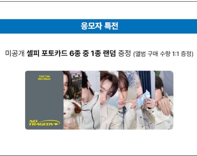 치즈냥 tweet media