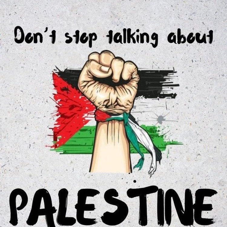 🇵🇸lana gaza tweet media