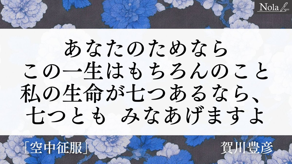 ギーク猫＠Nola tweet media