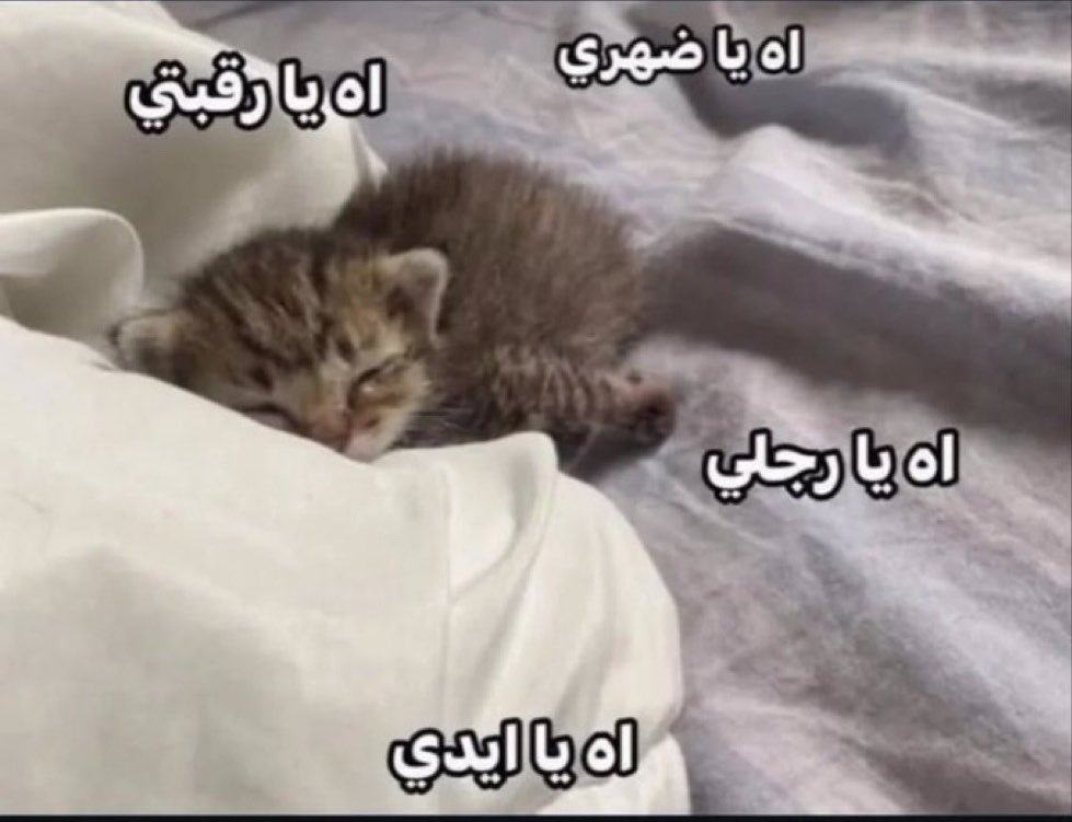 عغعغع tweet media