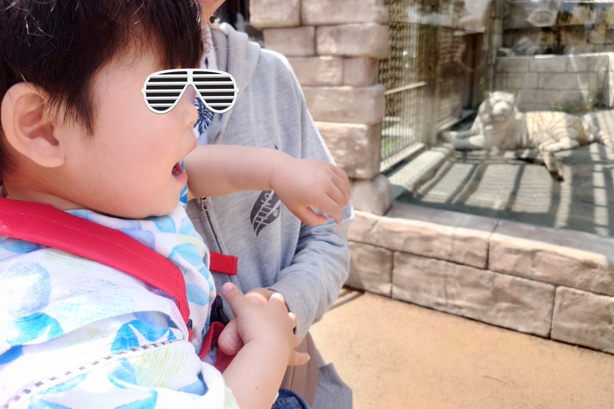 松田　扇 tweet media