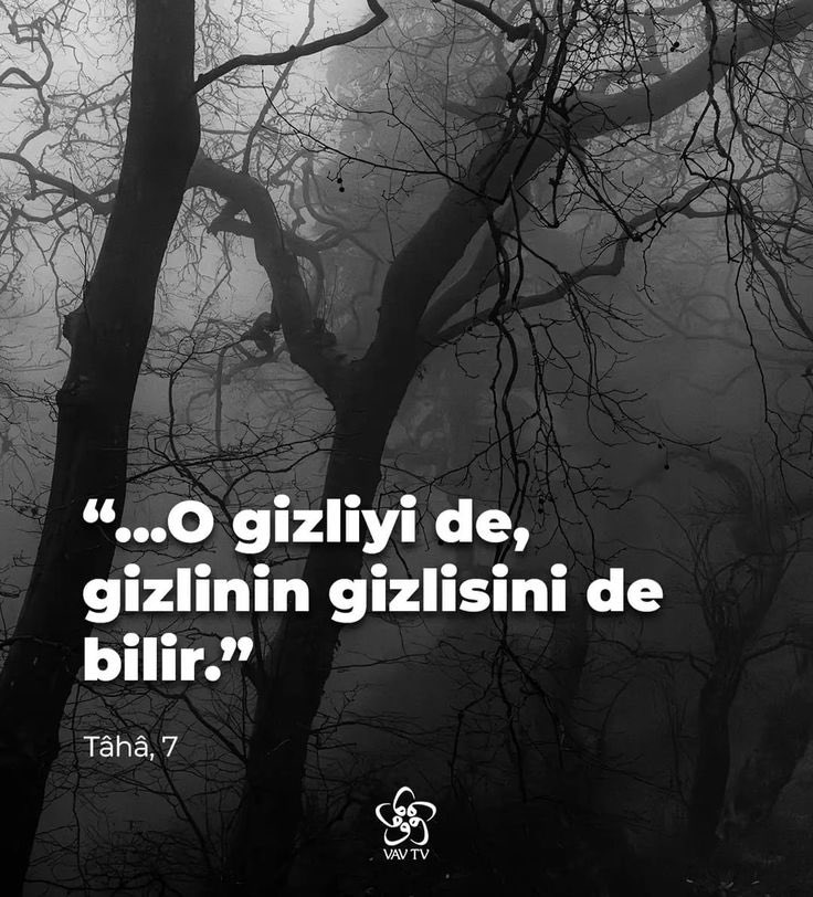Hakikat Sesi tweet media