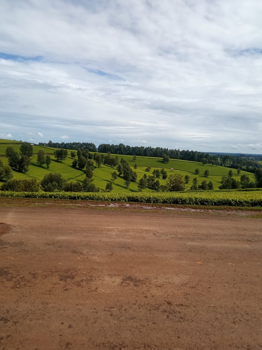 I'm OG 👊. tweet media