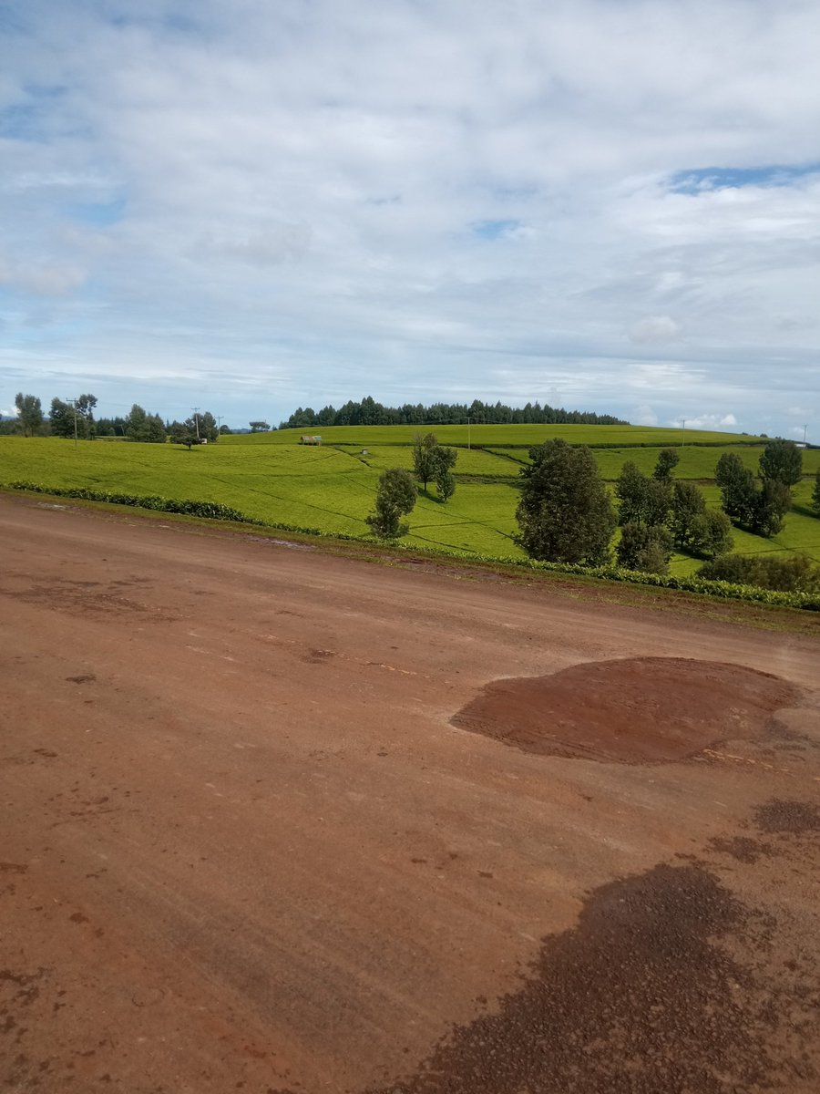 I'm OG 👊. tweet media