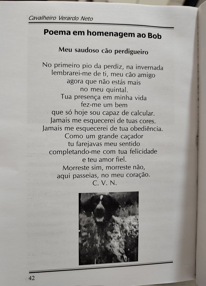 Cavalheiro Verardo (@cavalheirovera1) on Twitter photo 