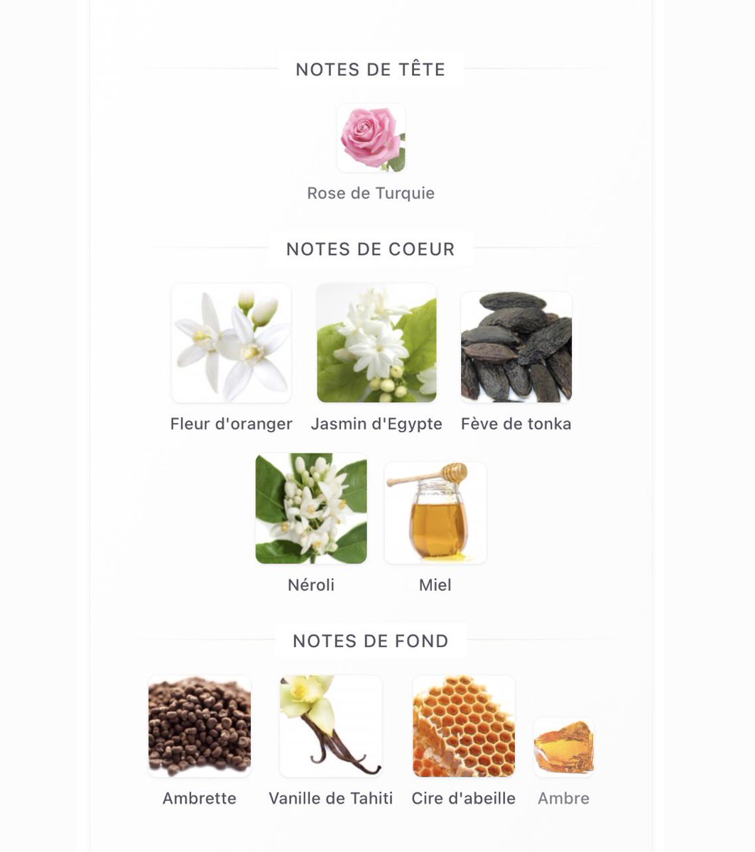 Fragrance Aesthetics tweet media