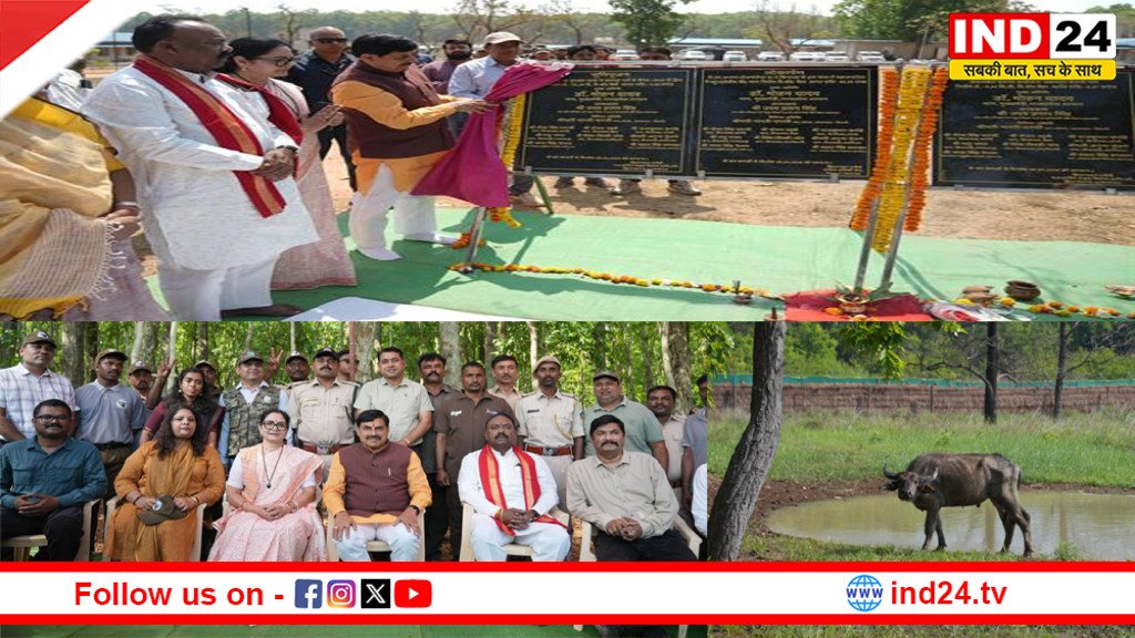 IND24MEDIA's tweet image. जंगली भैंसा प्रजाति की वापसी, संरक्षण में ऐतिहासिक पहल

ind24.tv/madhya-pradesh…

#Conservation #MadhyaPradesh #BisonReintroduction #Environment #Biodiversity #Forest #IndiaNews #BreakingNews