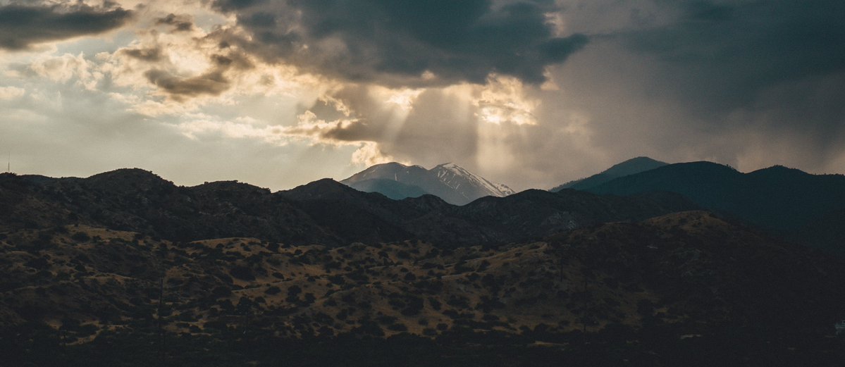 Colin Passman tweet media