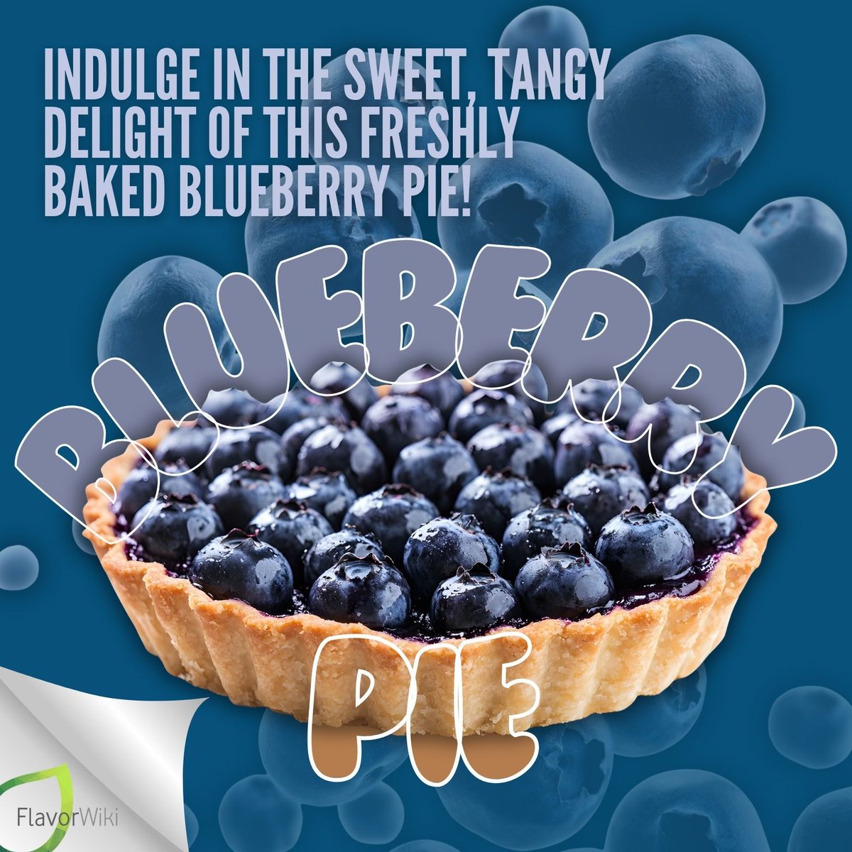 FlavorWiki's tweet photo. Happy National Blueberry Pie Day! 🥧 

There's nothing quite like a slice of warm blueberry pie, with its sweet, jammy filling and a perfectly flaky crust. How are you celebrating? 

#NationalBlueberryPieDay #BlueberryPie #PieLover https://t.co/jKsC3fJmtI