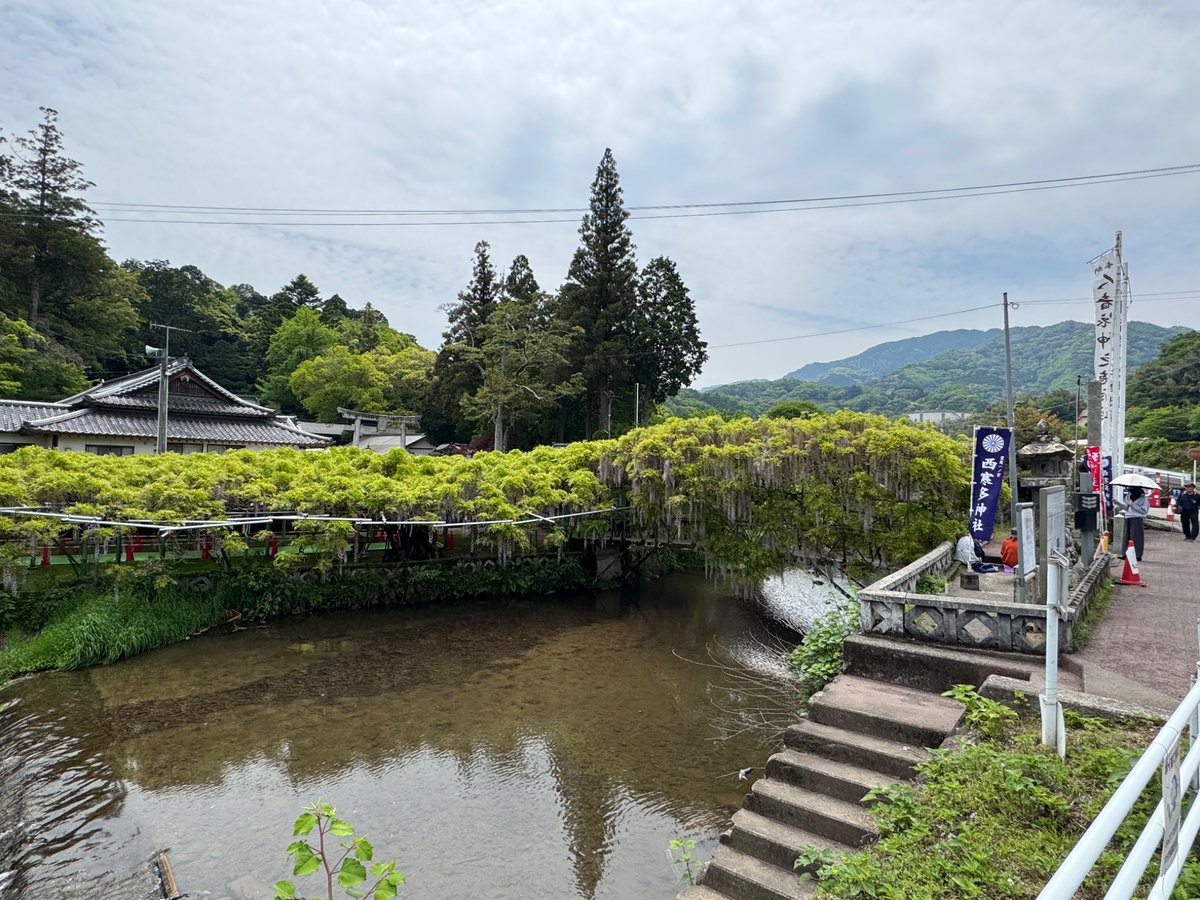 dGRITs1's tweet photo. 九州2日目 都農⇨寒田⇨柞原⇨宇佐⇨宮若

宇佐神宮のおはなソフト食べながらPLAMATEAポチった https://t.co/CXL1S5VCWa