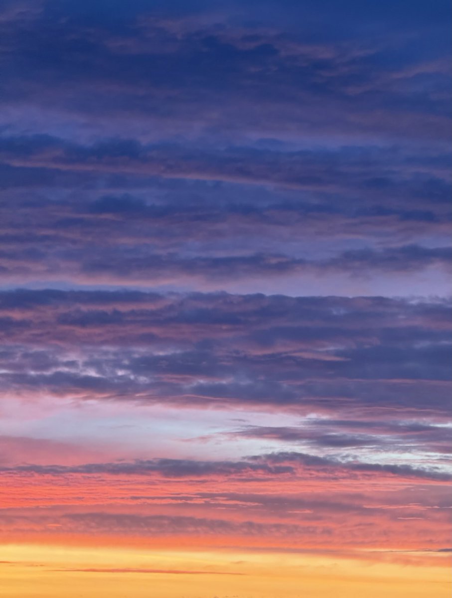 i’m_the_smallest🐜🌸 tweet media