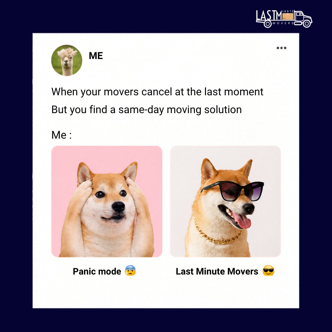 movers_minute's tweet image. Finding a reliable same-day #movingservice can turn your stressful situation into a smooth experience. Whether it’s a house move, apartment shift, or #urgentrelocation, #professionalmovers make it easy, fast, and hassle-free.

🌐 lastminutemovers.com.au
📞 0491 799 907

#movers