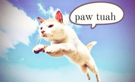 Charon of #PMTwt tweet media