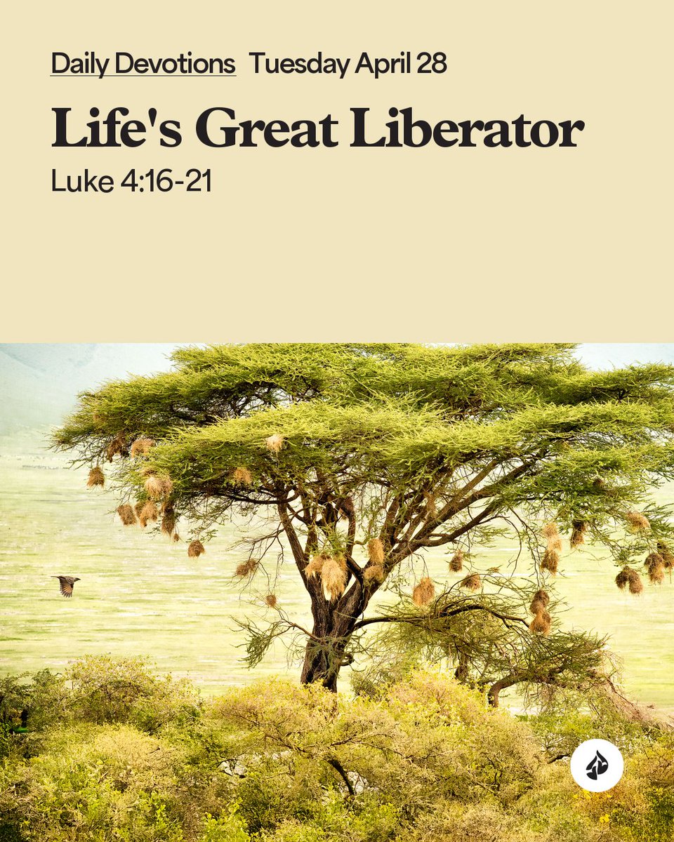 InTouchMin's tweet image. Real peace and joy are found when we surrender our life to Jesus and let Him set us free from sin. #DailyDevo
intouch.org/read/daily-dev…