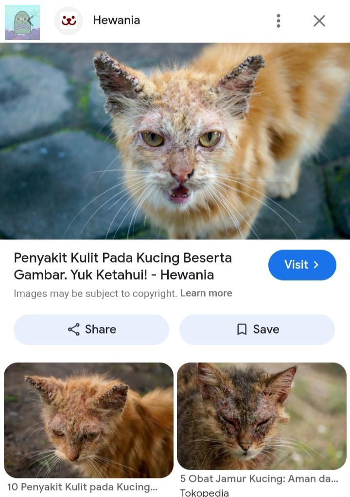 Tanyarl 💚 tweet media
