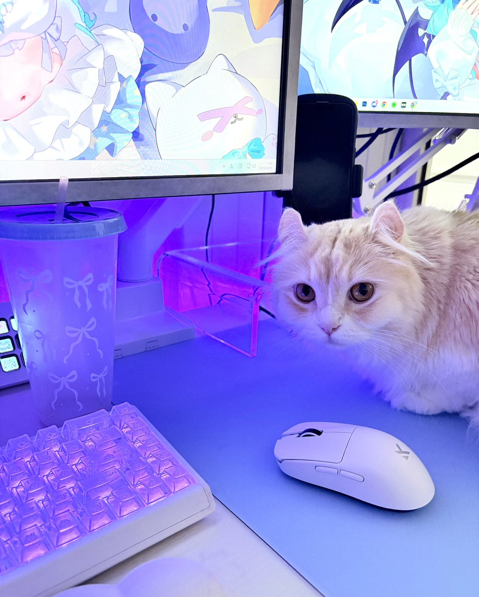 猫雷 にゃる🐱🌩Vtuber (@NecoraNyaru) / Posts / X