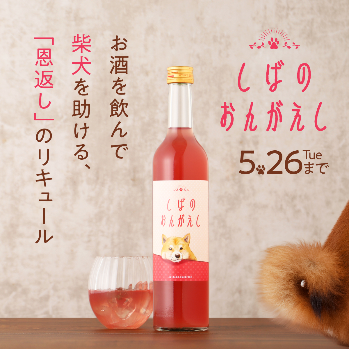 「クランド」クラフト酒のお店 tweet media