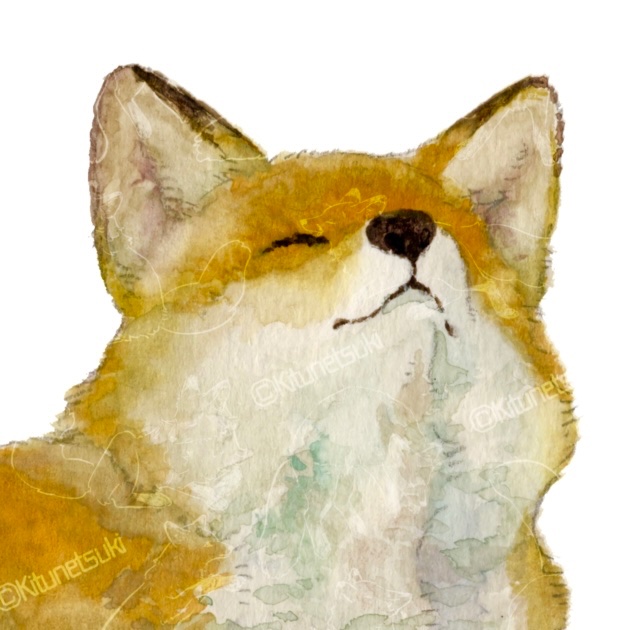 Kitsune_Hyoka's tweet photo. https://t.co/DVoDMMUruB