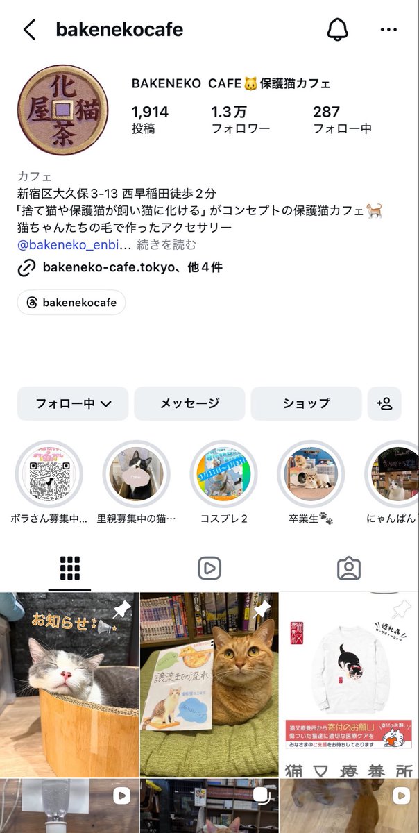 Z李 🇺🇦 NO WAR 🕊 tweet media