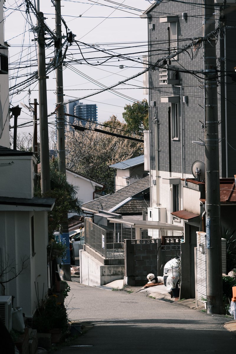 小林哲朗　写真家 tweet media