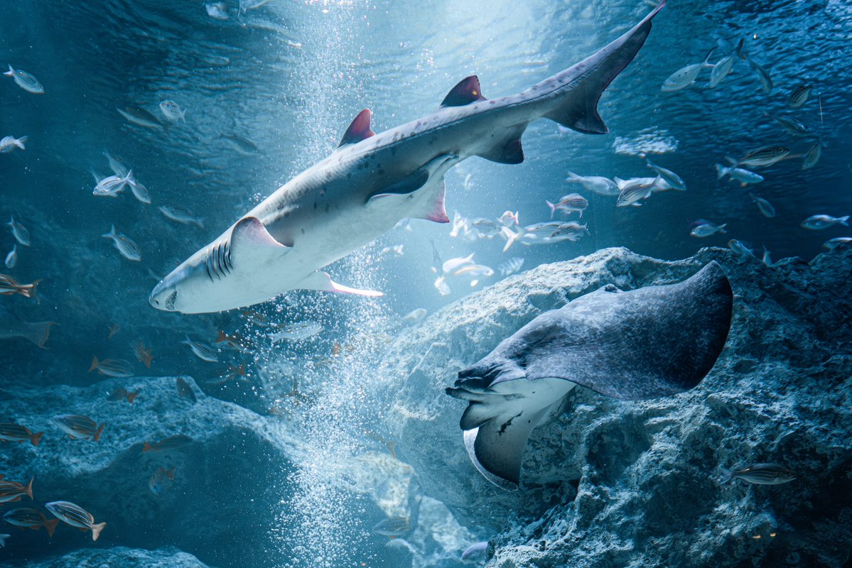 水素結合📸 tweet media