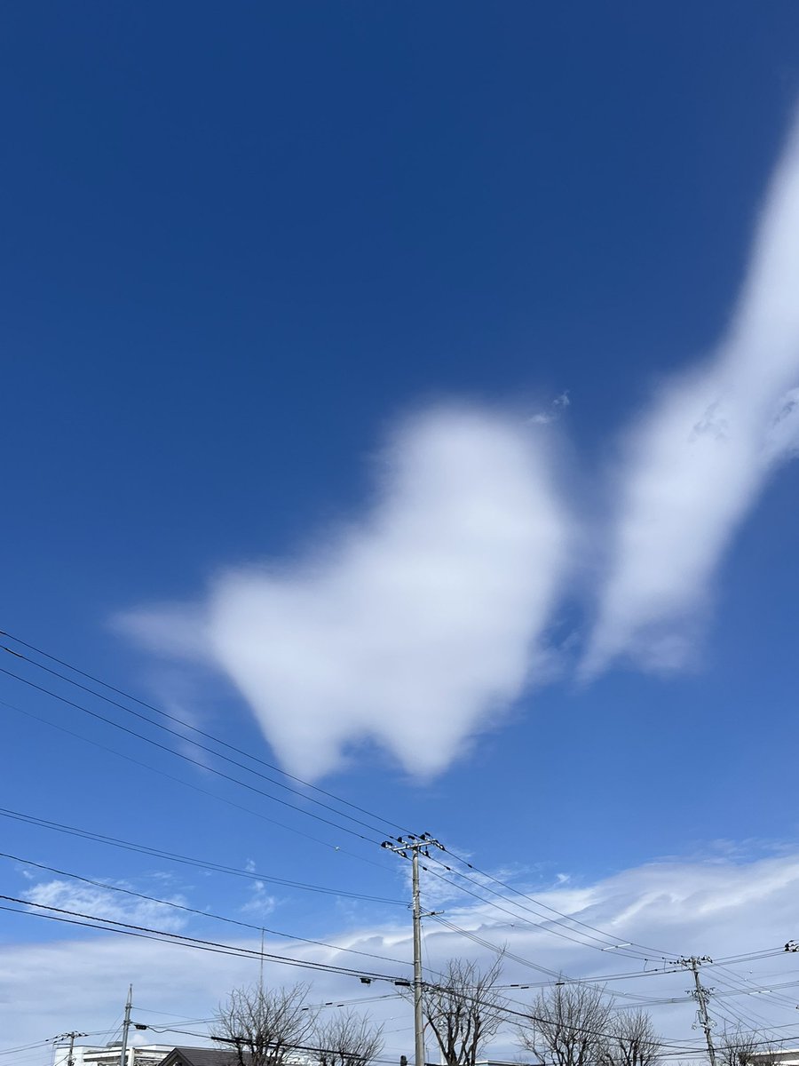 うゆ¨̮ tweet media