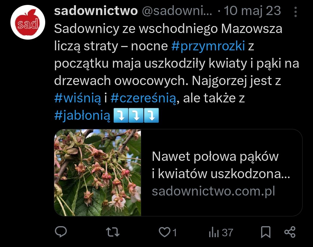 Patryk Czarnik tweet media