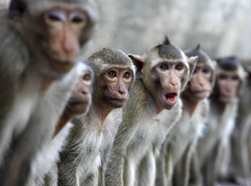 ชื่อมิวไม่ใช่หมิว 😼 tweet media