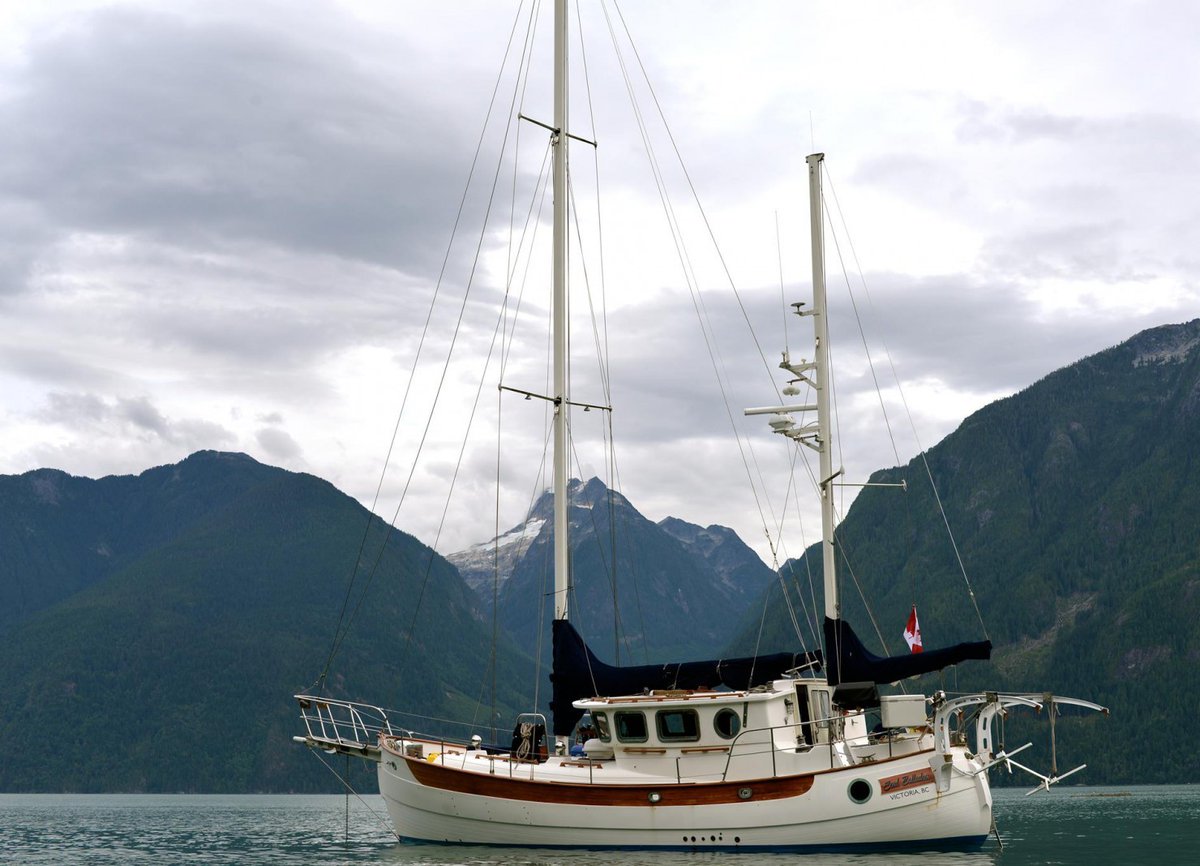 Lovesail tweet media