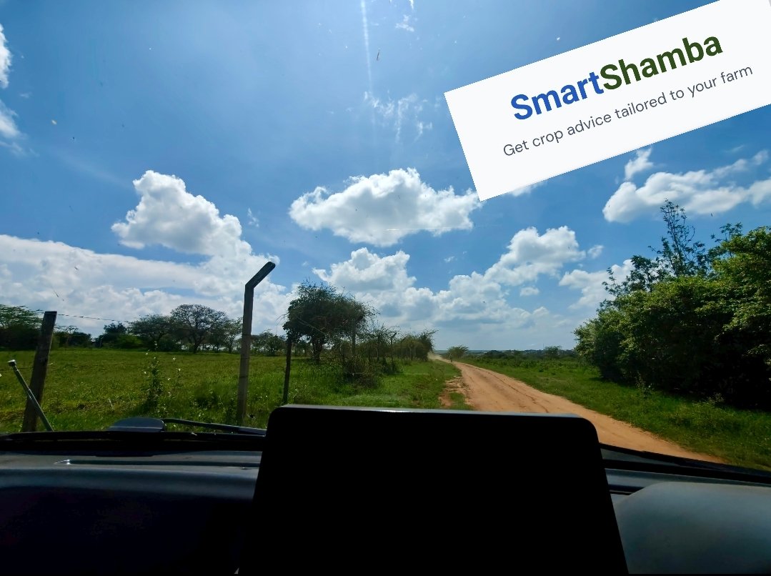 BasedKago's tweet photo. Office of the day.

What will you Grow today?

#SmartShamba https://t.co/VGZBagXarQ