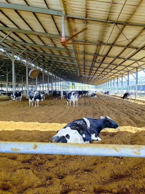 Mor Edge Insight tweet media