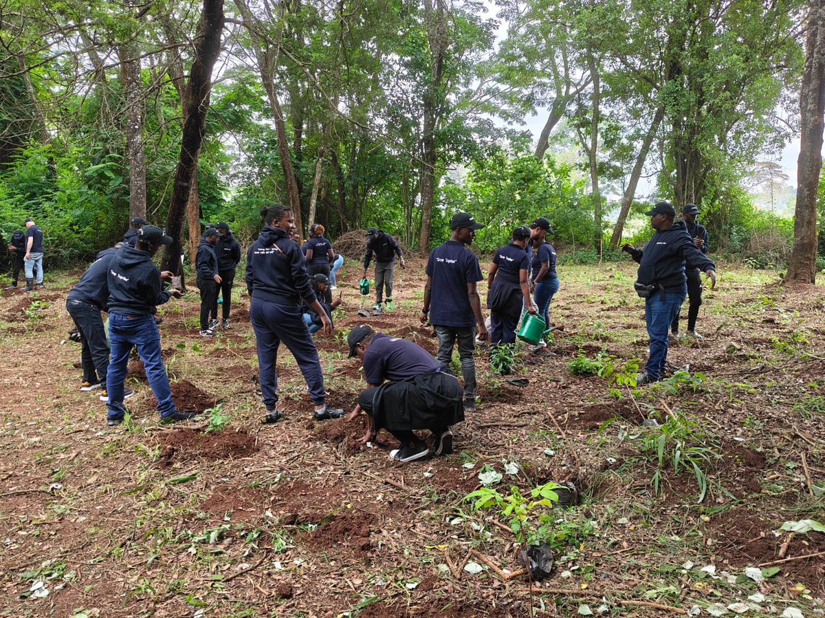 NRFA2015's tweet photo. 🌿 We were delighted to host the Mace Group Kenya team at Ngong Road Forest for a impactful tree planting activity. Together, we’re growing a greener, more sustainable future. 🌳 

#VisitNgongRoadForest #JazaMiti https://t.co/DH23WIGFEl